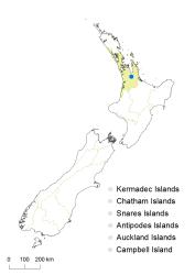 Equisetum fluviatile distribution map based on databased records at AK, CHR and WELT.
 Image: K. Boardman © Landcare Research 2014 CC BY 3.0 NZ